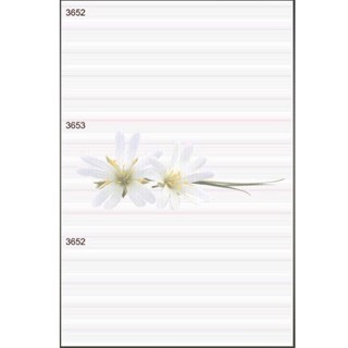 Gạch ốp tường giá rẻ 30x60 NLP3652