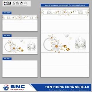 Gạch ốp tường 30x60 BNC 3625-26D-27