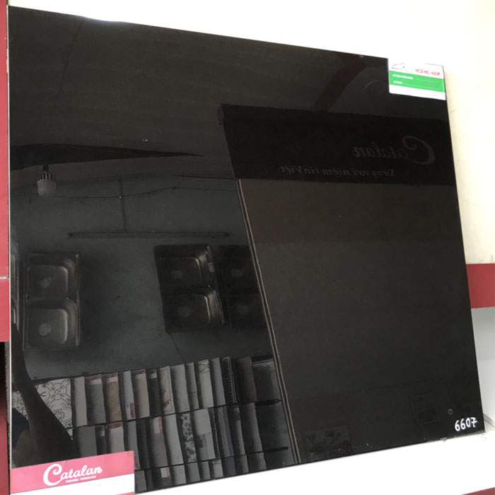 Gạch bóng kính catalan 60x60 6607