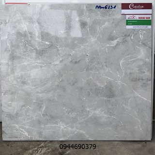 Gạch catalan 60x60 6131