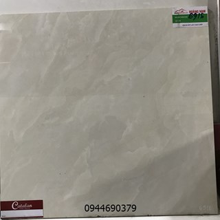 Gạch catalan 60x60 6916