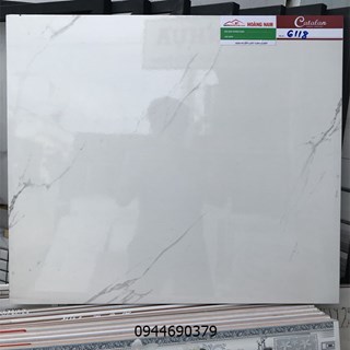 Gạch catalan 60x60 6118