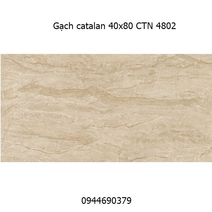 Gạch ốp tường Catalan 40x80 CTN 4802