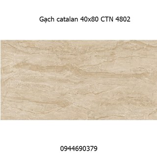 Gạch ốp tường Catalan 40x80 CTN 4802