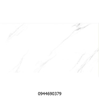 Gạch ốp tường Catalan 40x80 CTN 4808
