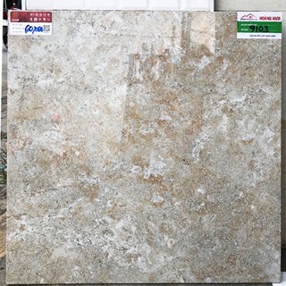 Gạch Prime bóng kính 60x60 9103